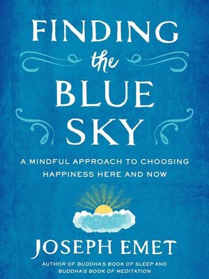 cover image of Finding the Blue Sky